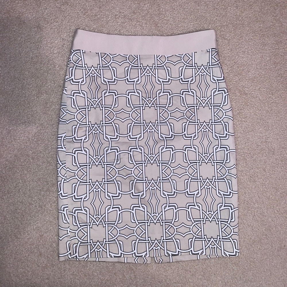 The Limited Skirt